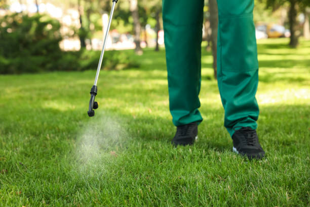 Best Best Pest Control Companies  in Poplar Cotton Center, CA