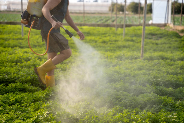 Pest Prevention Services in Poplar Cotton Center, CA