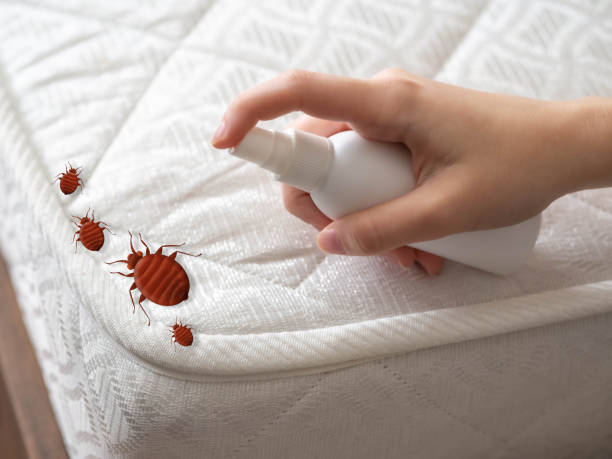 Best Cockroach Control Services  in Poplar Cotton Center, CA