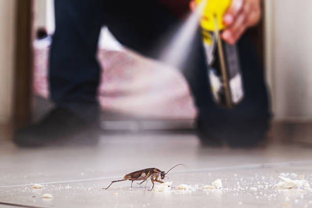 Best Affordable Pest Control Services  in Poplar Cotton Center, CA