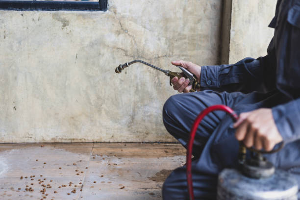 Best Emergency Pest Control  in Poplar Cotton Center, CA